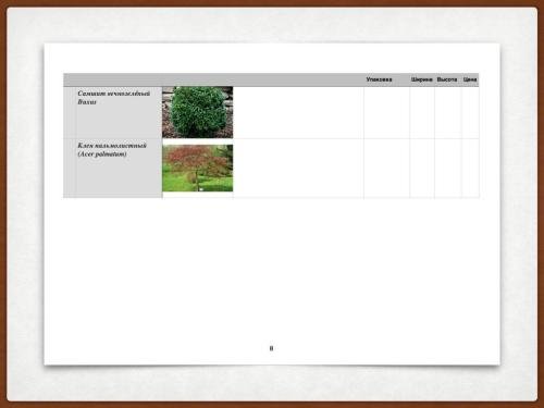 Autumn-on-the-parking-lot-13