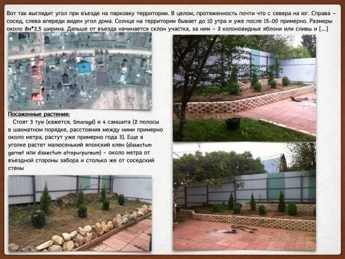 Autumn-on-the-parking-lot-02