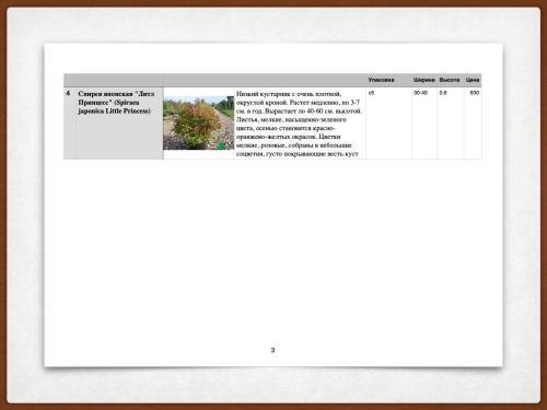 Autumn-on-the-parking-lot-08