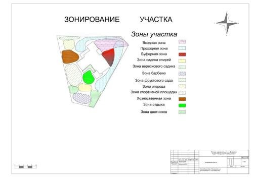 Pine-Forest-project-01