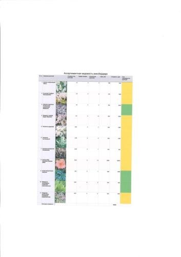 Pine-Forest-project-11