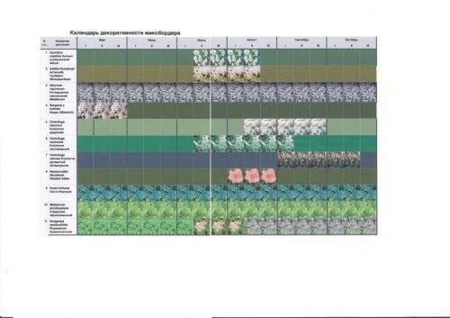 Pine-Forest-project-12