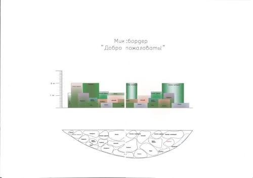 Pine-Forest-project-13