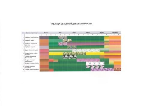 Pine-Forest-project-15