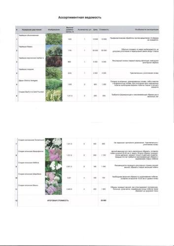 Pine-Forest-project-16