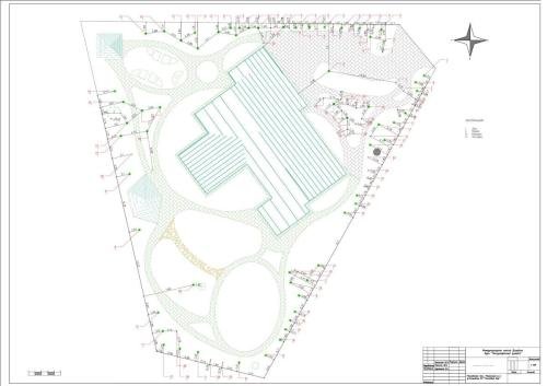 Pine-Forest-project-02