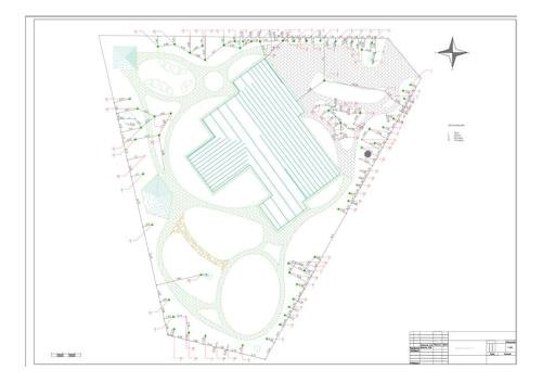 Pine-Forest-project-21