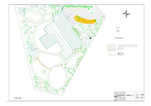 Pine-Forest-project-22