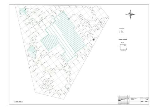 Pine-Forest-project-23
