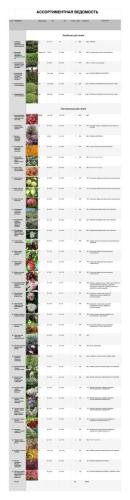 Pine-Forest-project-03