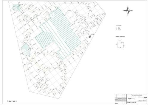 Pine-Forest-project-04
