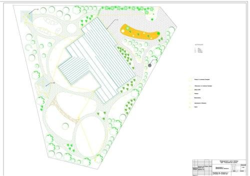 Pine-Forest-project-05