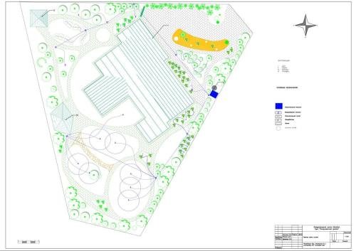 Pine-Forest-project-07