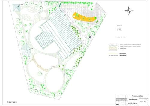 Pine-Forest-project-09